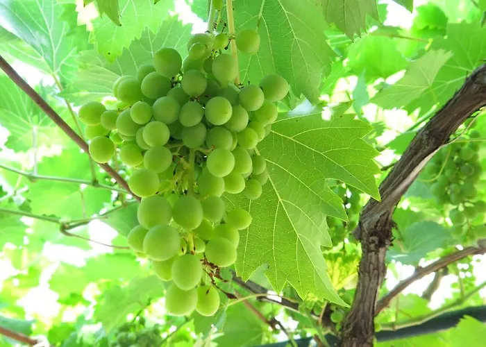 شقة Sunset Over The Dubrovnik's Old Town *