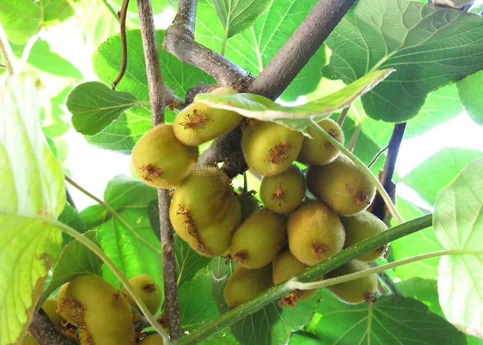 Διαμέρισμα Sunset Over The Dubrovnik's Old Town Ντουμπρόβνικ