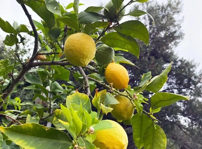Appartement Sunset Over The Dubrovnik's Old Town Dubrovnik