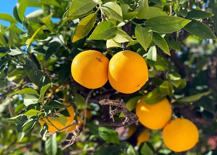 Sunset Over The Dubrovnik's Old Town *
