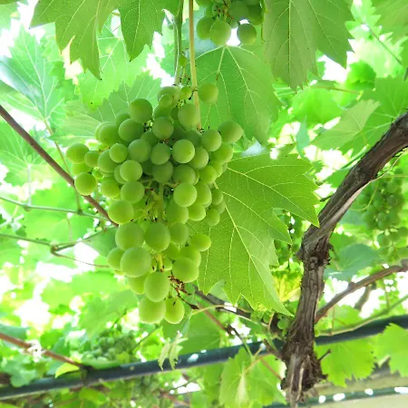 Apartment Sunset Over The Dubrovnik's Old Town *